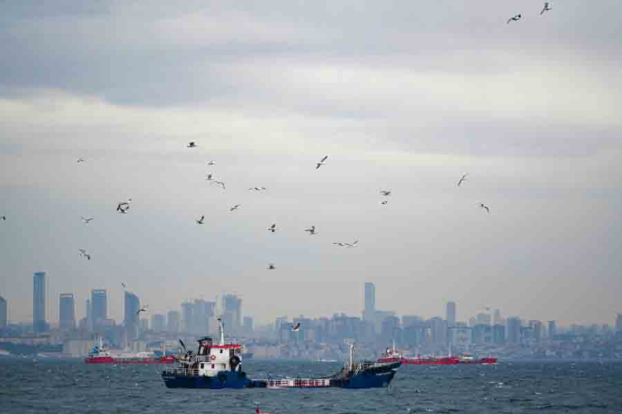 Zeytinburnu Web Tasarım Firmaları | İstanbul | Web Sitesi Firması