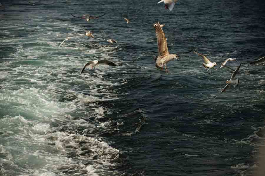 Web Tasarım Firmaları Tuzla - Web Tasarımı Firması Netürk