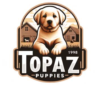 Topaz Puppies Web Tasarım